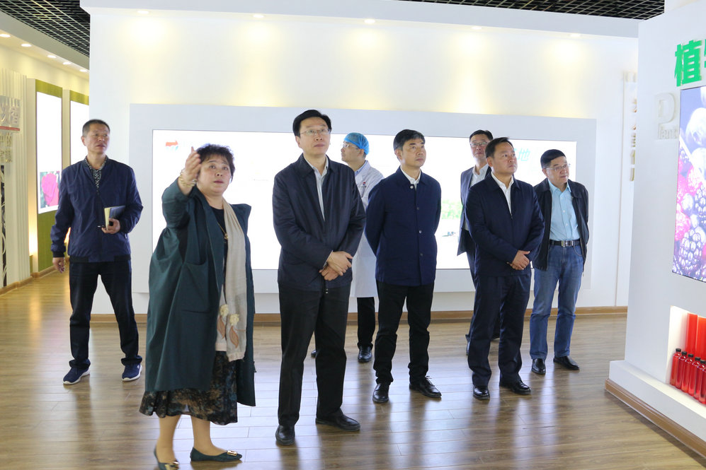 2020年11月2日省政府食安辦副主任，省市場監(jiān)督管理局副局長王建防到公司調(diào)研指導(dǎo)工作.JPG